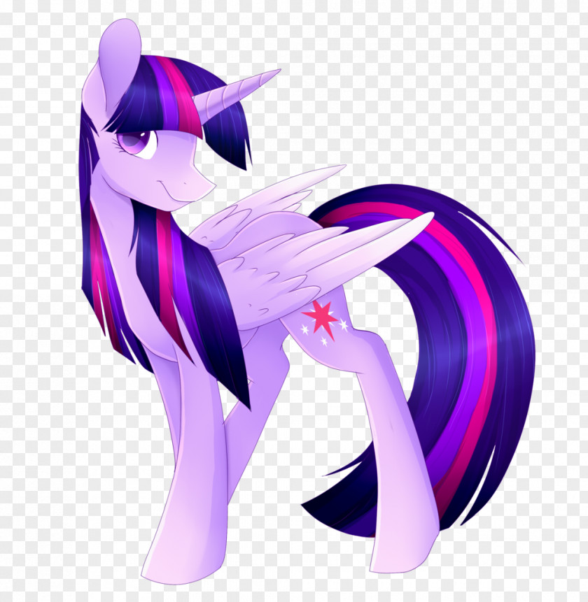 Sparkle Tornado Twilight Pony Rainbow Dash Princess Celestia Rarity PNG