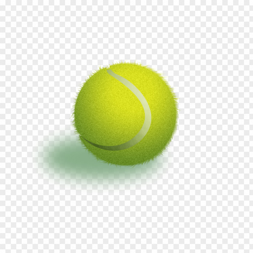 Sports Equipment Ball Game PNG
