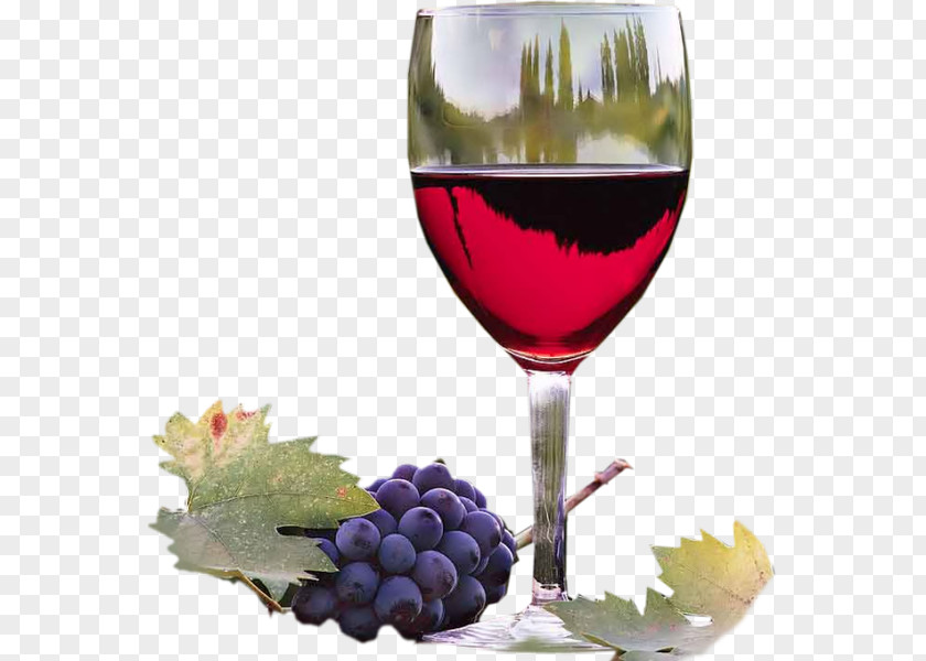 Wine Tasting Columbia Valley AVA Malbec Grape PNG