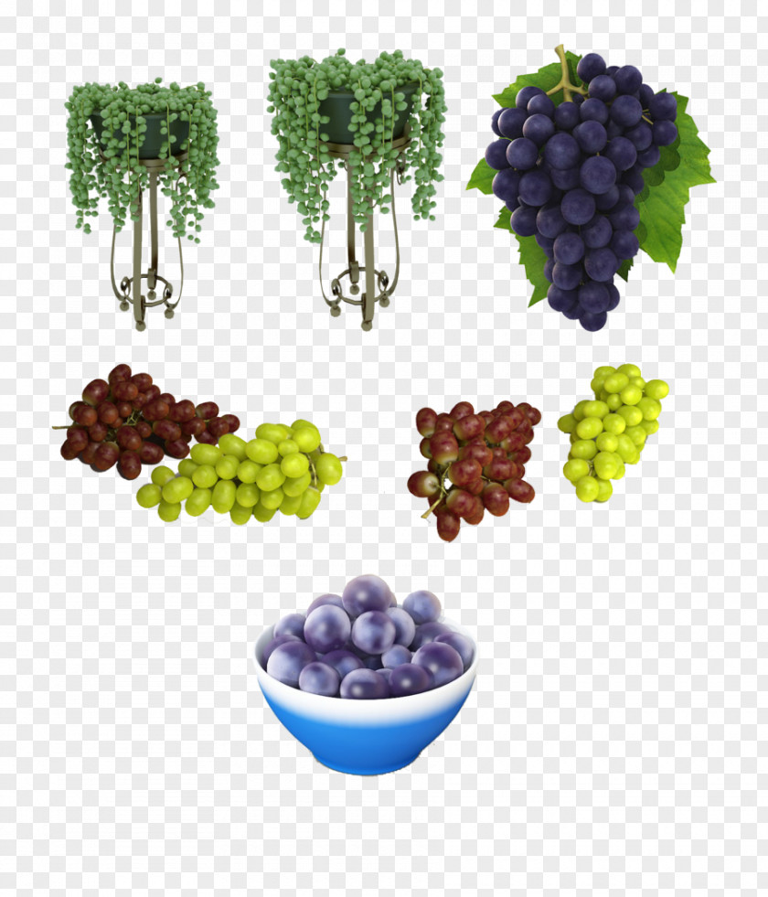 Grape DeviantArt Germany Fruit PNG