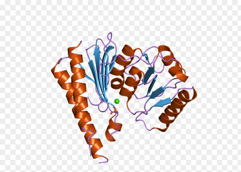 Inositol Monophosphatase 2 Food Clip Art PNG