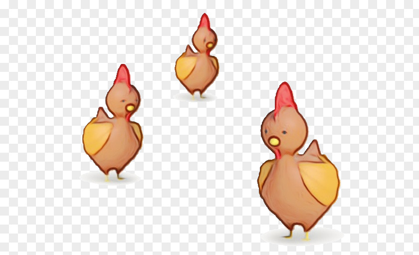 Landfowl Birds Ducks Chicken Poultry PNG