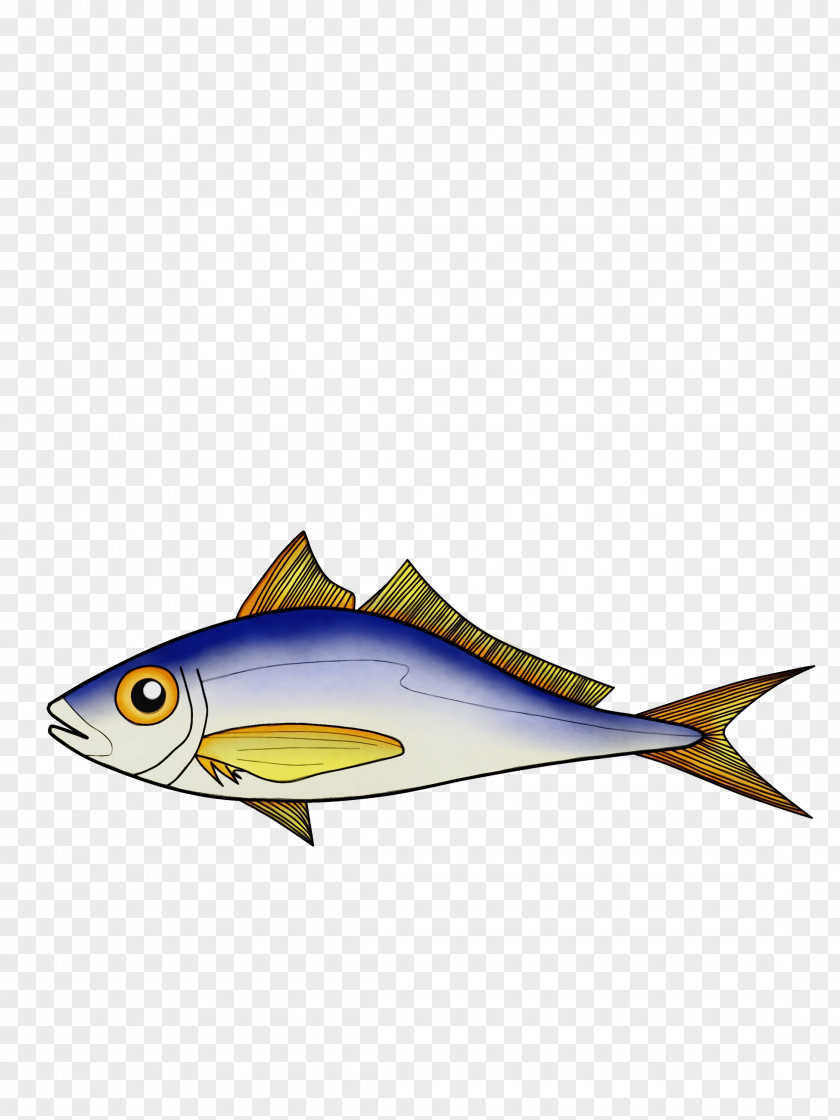 Mackerel Tuna Fish Fin Perch Bony-fish PNG