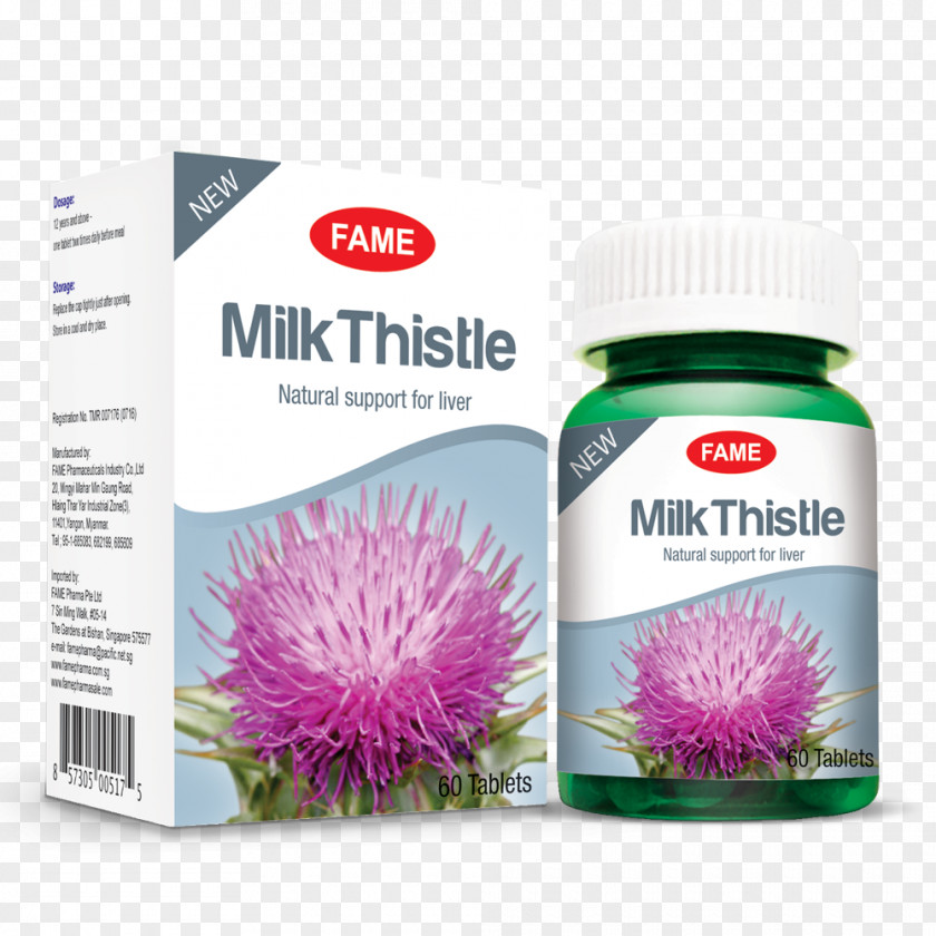 Milk Thistle Dietary Supplement Luteolin Nutrient Health, Fitness And Wellness PNG