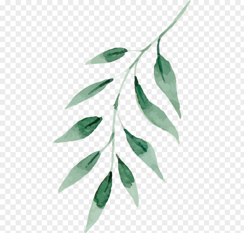 Painting Watercolor Vector Graphics Leaf Green PNG