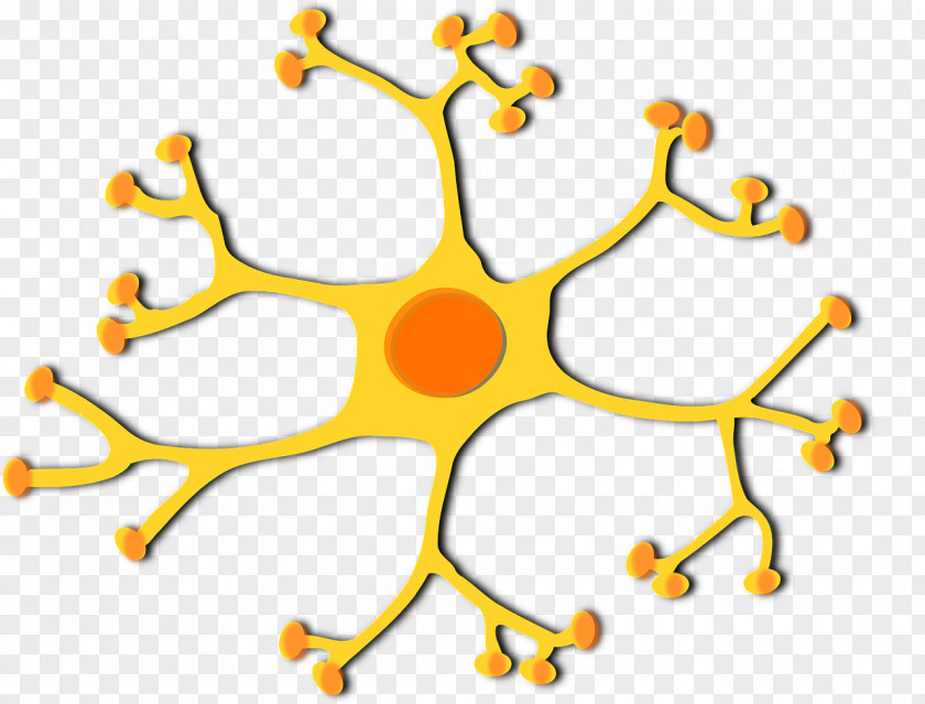 Pathway Motor Neuron Cell Clip Art PNG