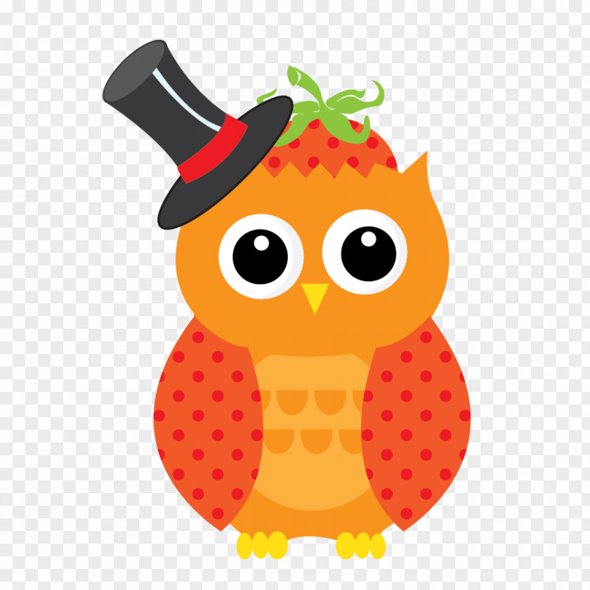 Cartoon Owl Illustration PNG