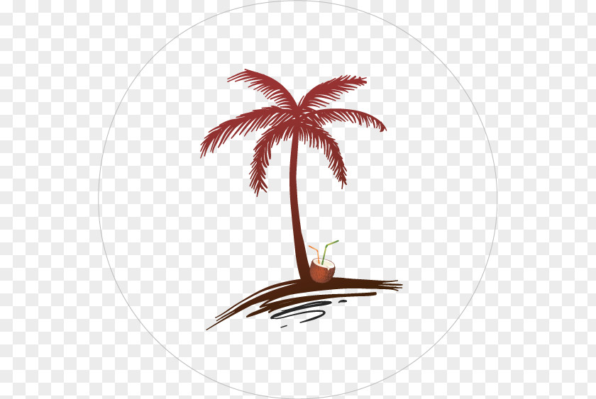 Coconut Arecaceae Drawing Tree PNG