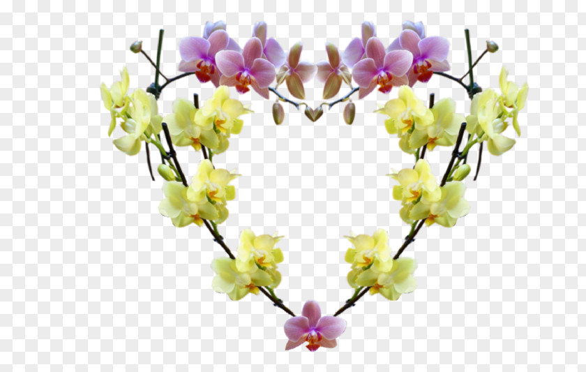 Flower Floral Design Artificial Cut Flowers PNG