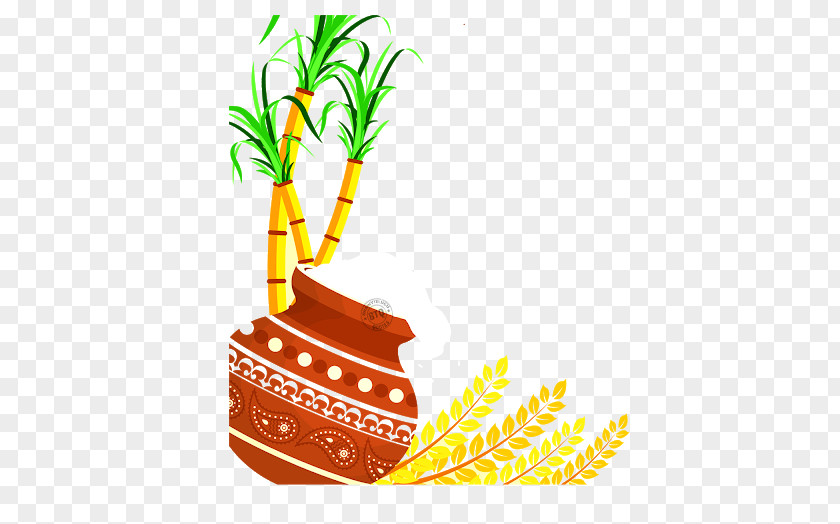 Thai Pongal Makar Sankranti Mattu Happiness PNG