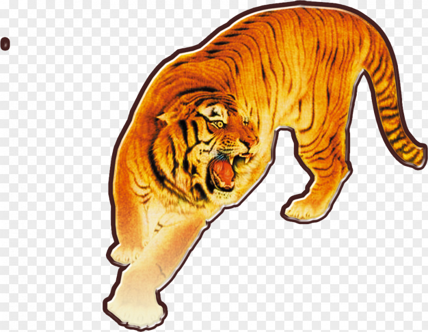 Tiger Lion Leopard PNG