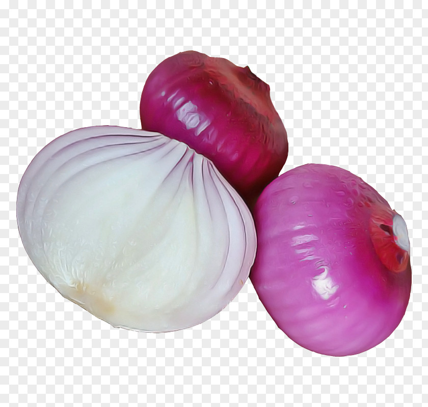 Amaryllis Family Shallot Red Onion Vegetable Food Allium PNG