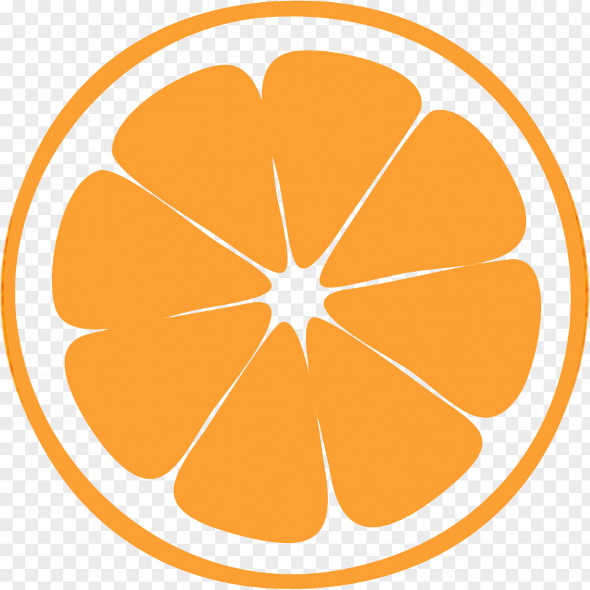 Apricot Drawing Lemon Orange PNG