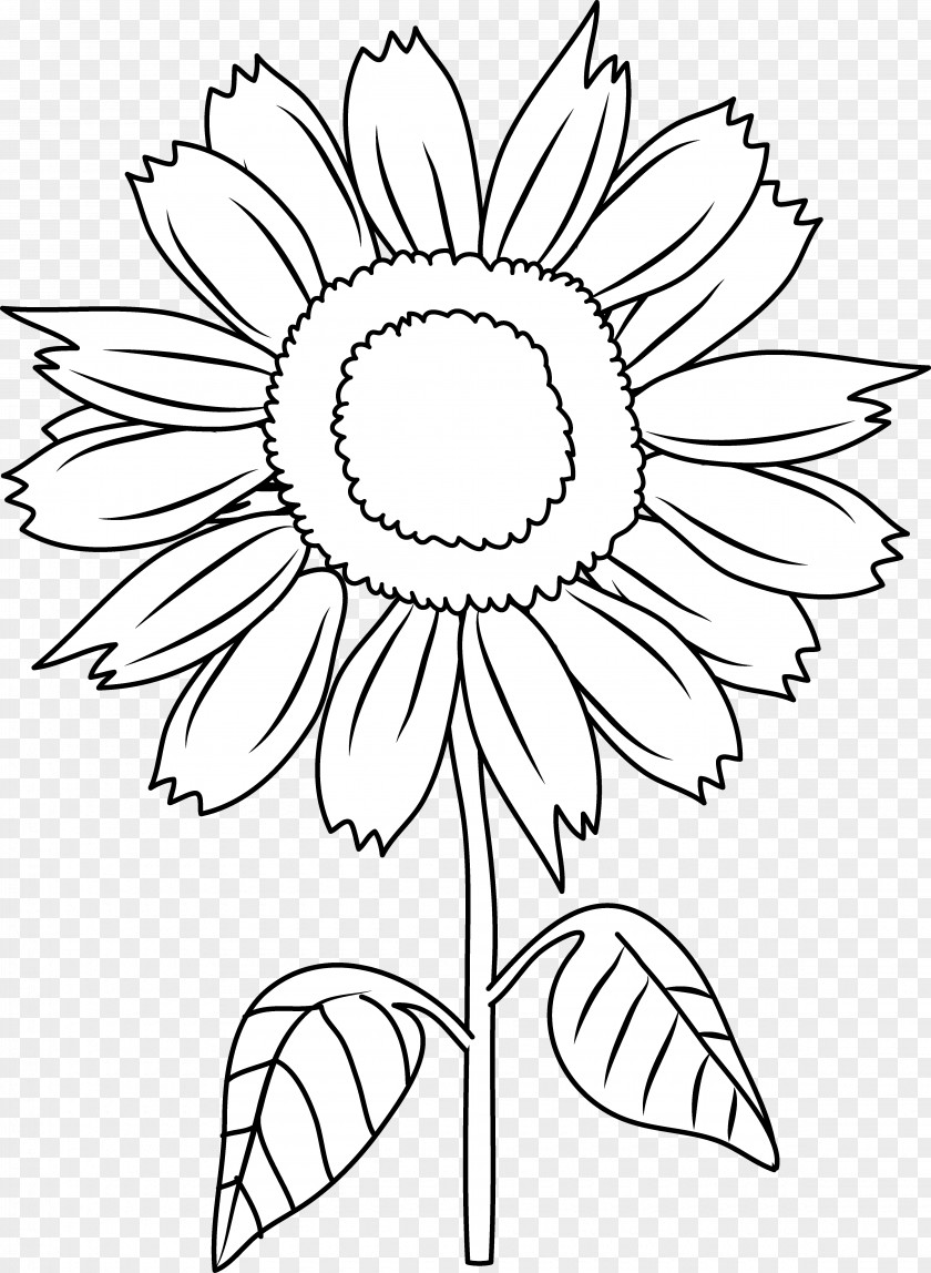 Black Sunflower Cliparts And White Clip Art PNG