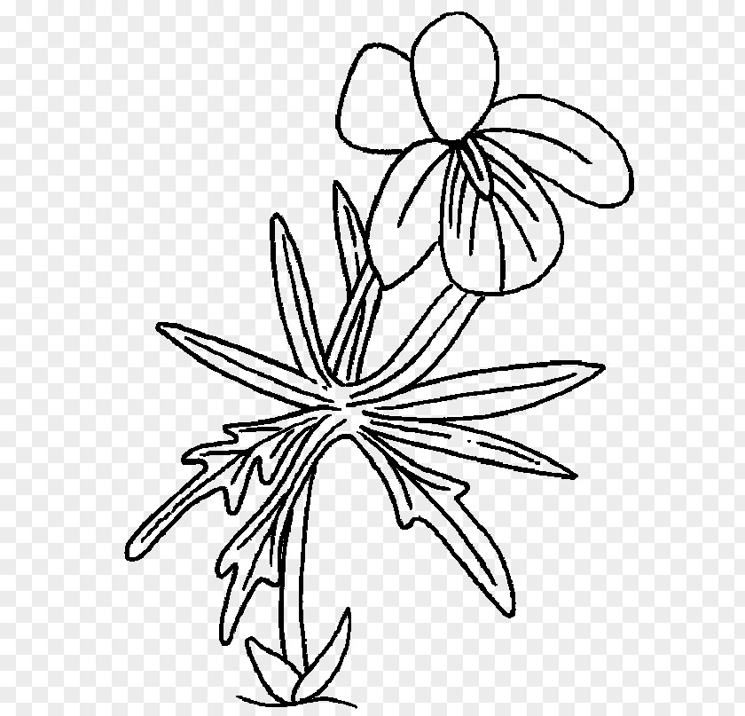 Flower Drawing Floral Design Ludmila Visual Arts PNG