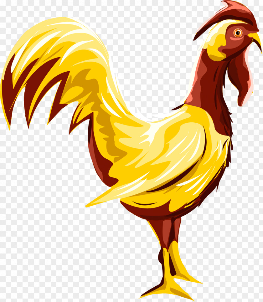 Rooster Chicken Livestock Poultry PNG