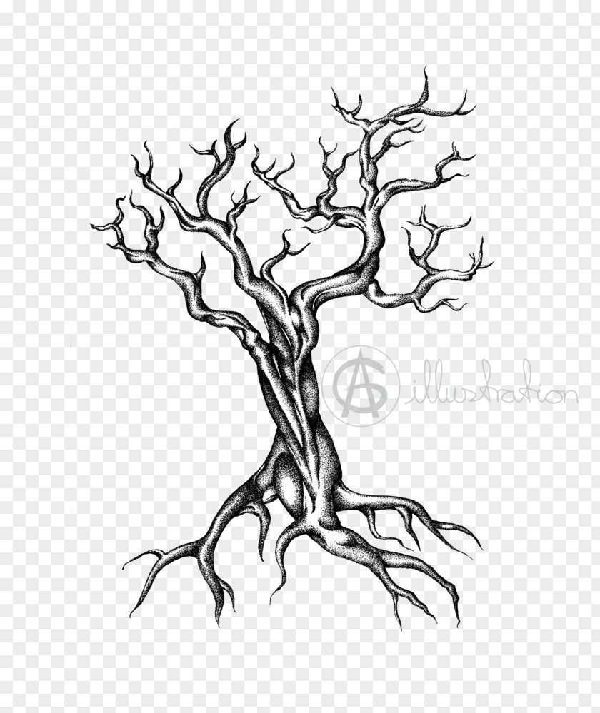 Yggdrasil Drawing Asgard Twig World Tree PNG