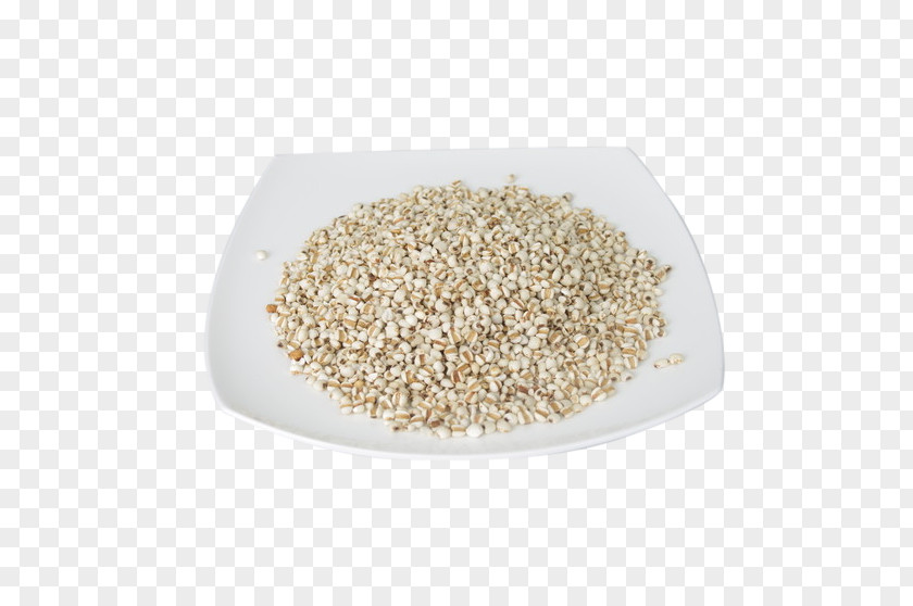 Barley Cereal Grain Food PNG