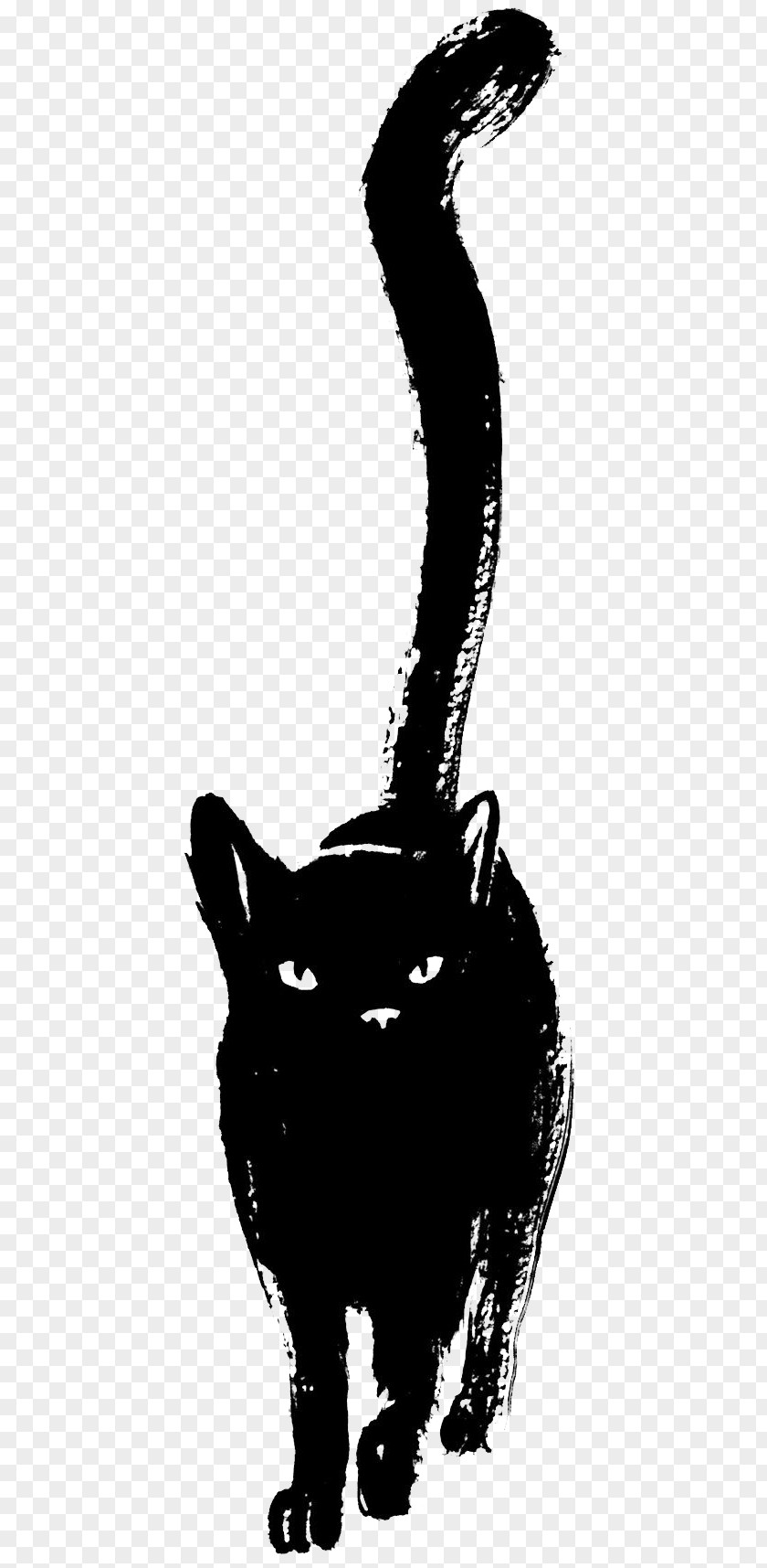 Black Cat Panther Drawing Sketch PNG