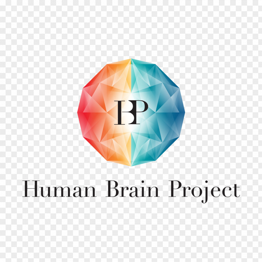 Brain Human Project Research Future And Emerging Technologies PNG