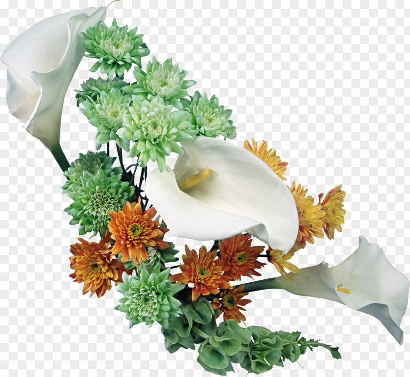 Callalily Flower Lilium Clip Art PNG