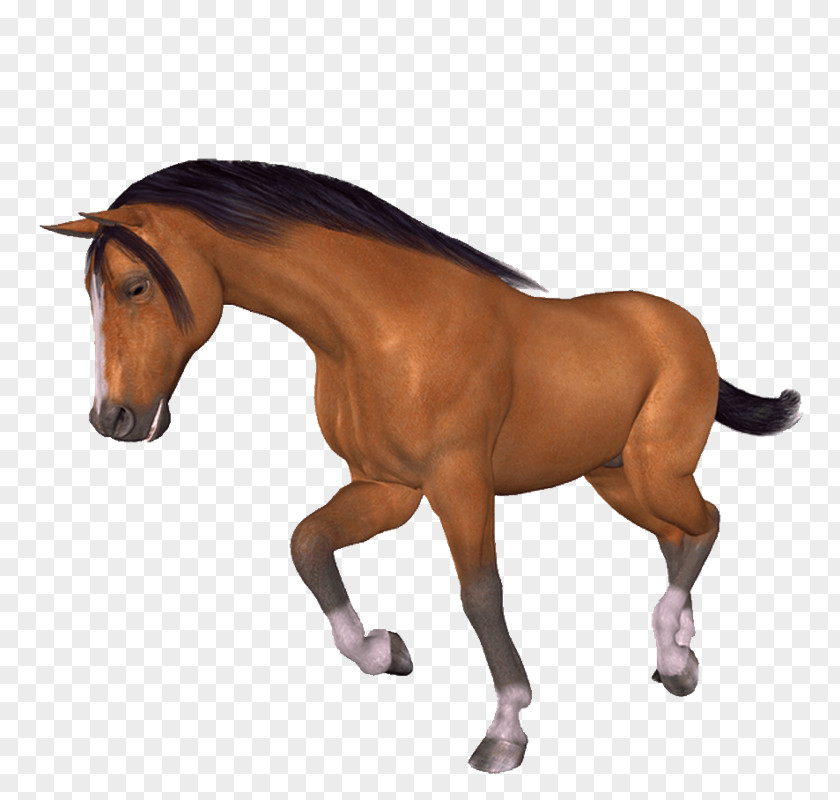 Gold Horse Paintbrush PNG