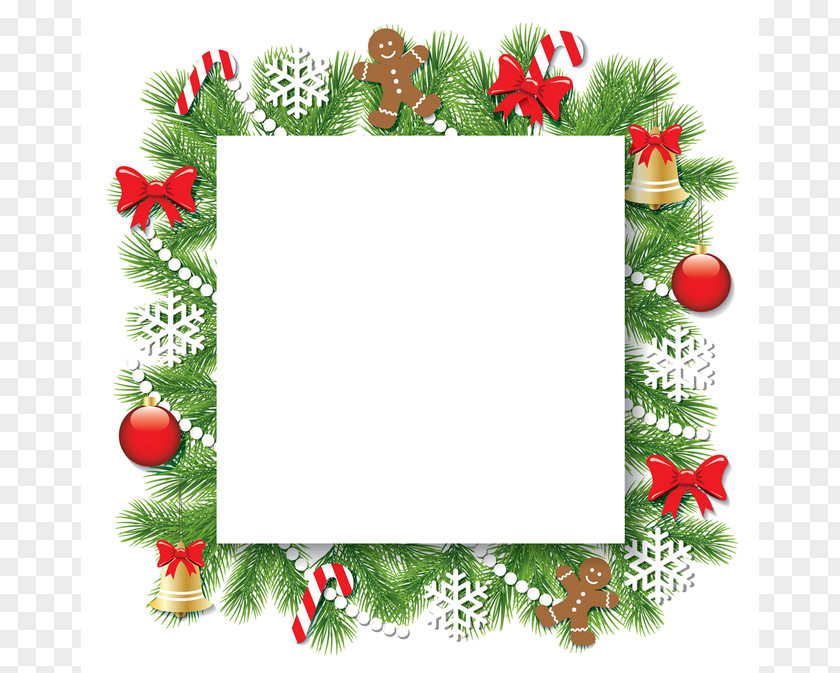 Picture Frame PNG