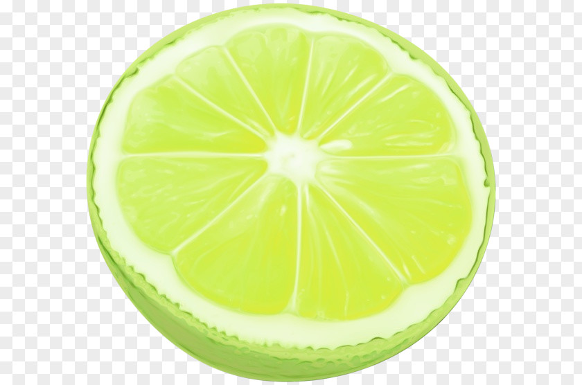 Plant Persian Lime Citrus Lemon Green Key PNG