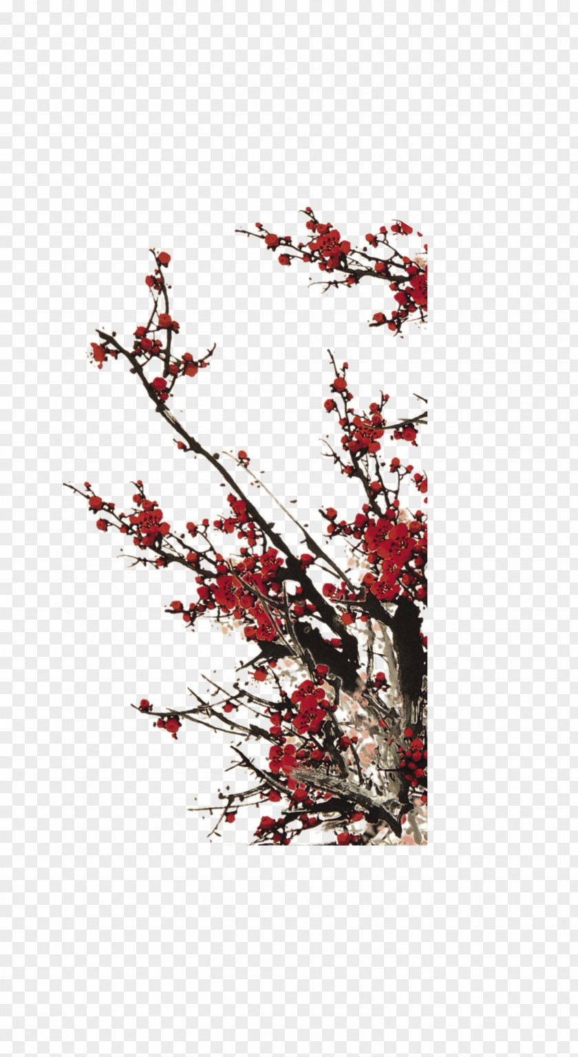 Plum Flower Poster Photography PNG