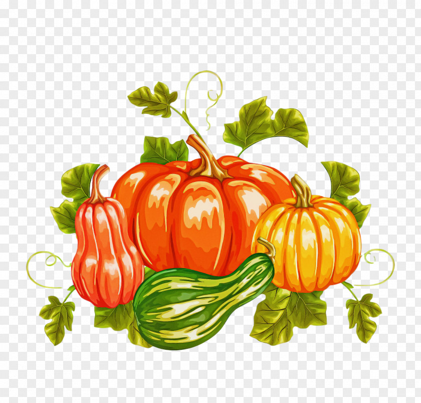 Thanksgiving Autumn Harvest PNG