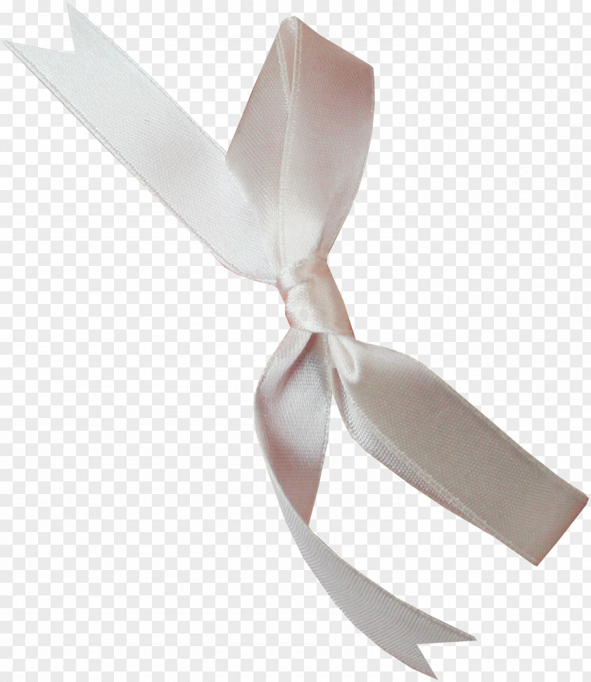 Beige Bow Ribbon Shoelace Knot White Butterfly PNG