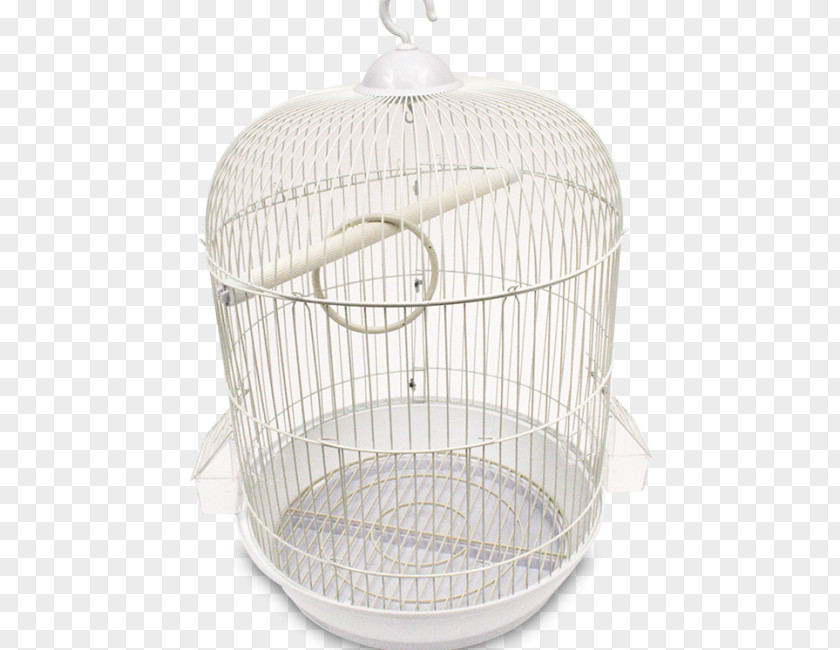 Bird Cage True Parrot Budgerigar Domestic Canary PNG