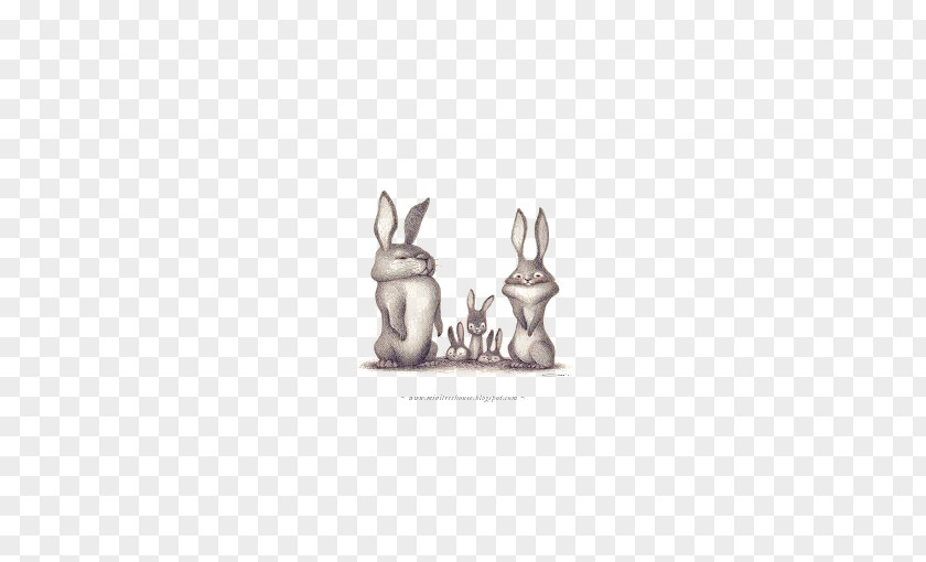 Cartoon Bunny Rabbit Illustrator Drawing Illustration PNG