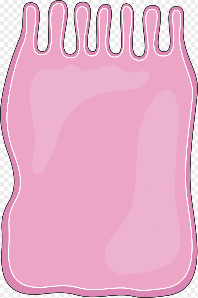 Columnar Epithelial Cells Clip Art Product Pink M Line Finger PNG