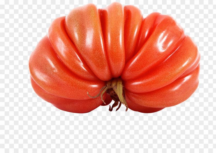 Cultivated Tomato Vegetable Seed Agriculture PNG
