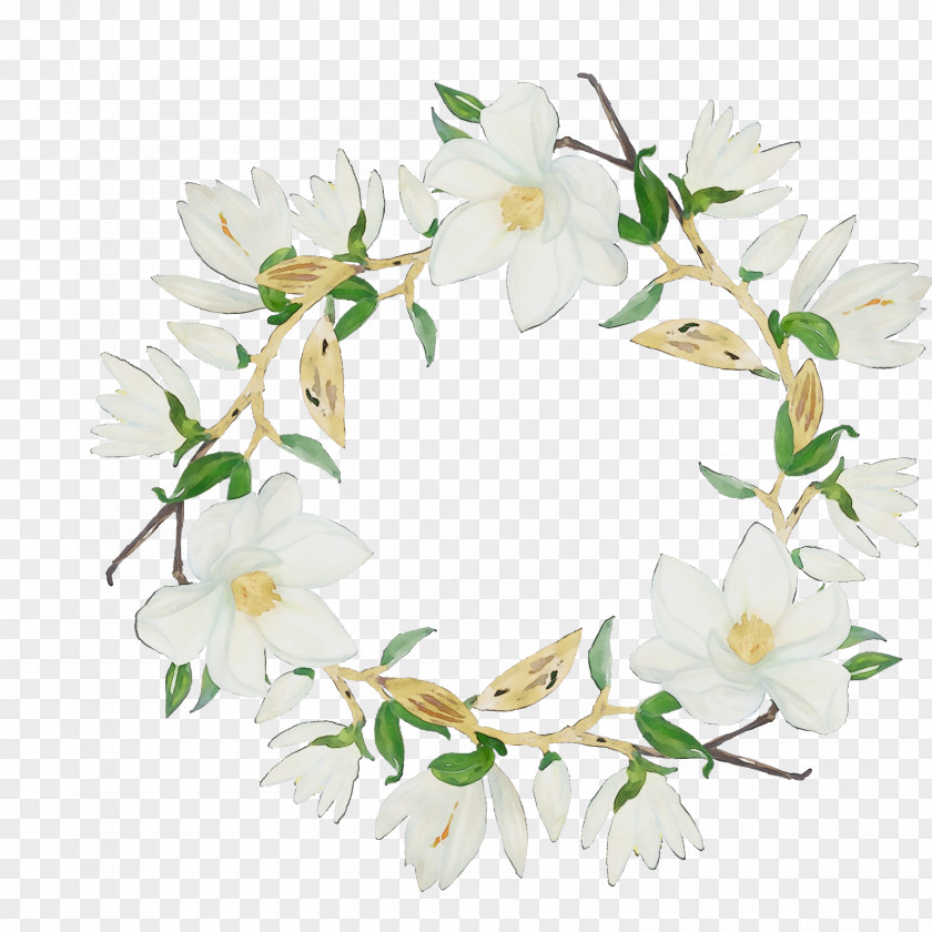 Floral Design PNG