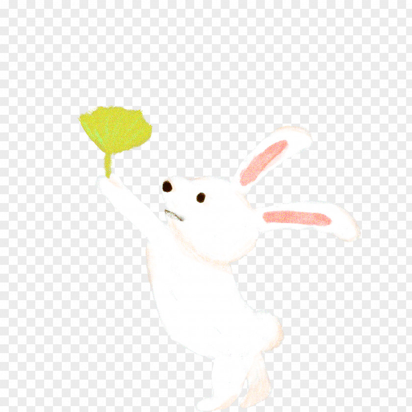 Self Teach Domestic Rabbit Hare Easter Bunny Cartoon PNG