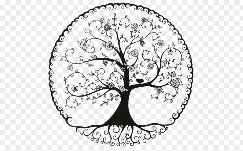 Tree Of Life Pine Drawing Symbol PNG