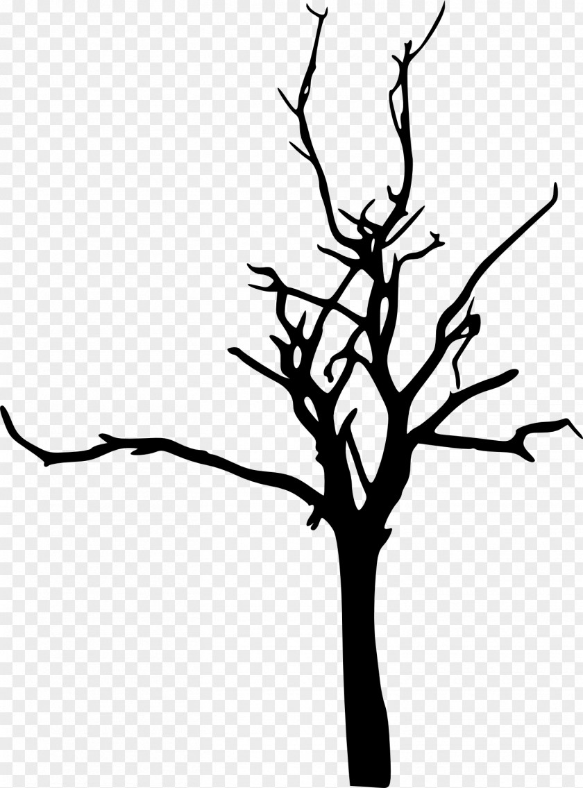 Tree Silhouette Branch Drawing PNG