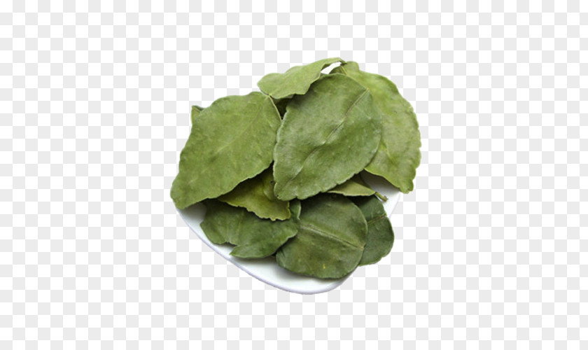 Lemon Leaves Dry Picture Material Leaf Computer File PNG