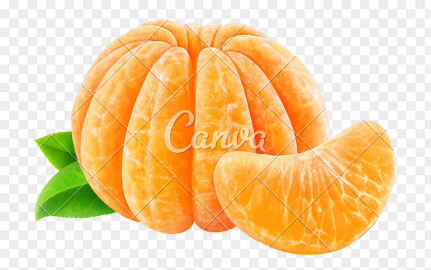 Tangerine Clementine Mandarin Orange Grapefruit Lemon PNG
