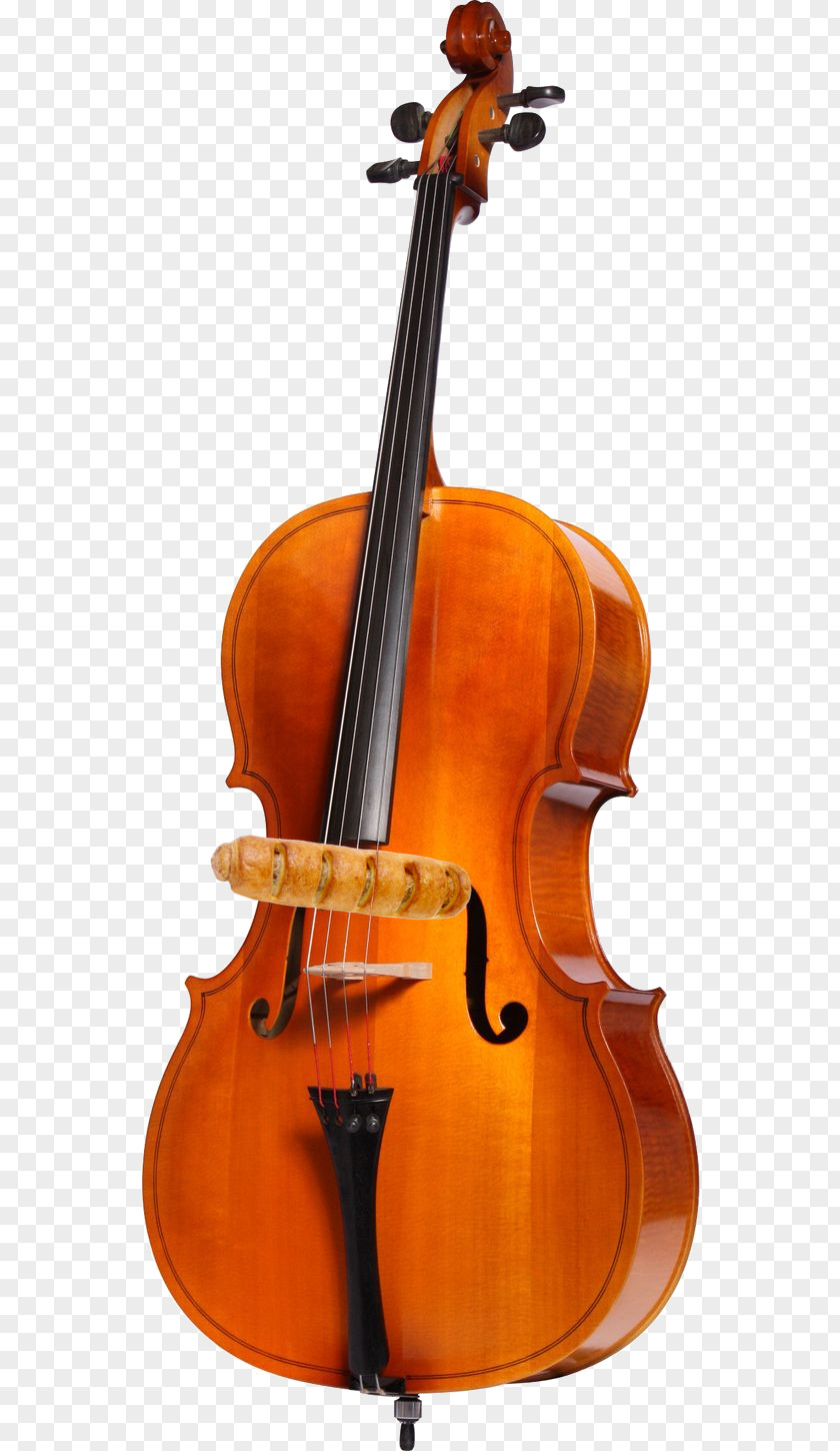 Violin Cello String Instruments Double Bass Quartet PNG