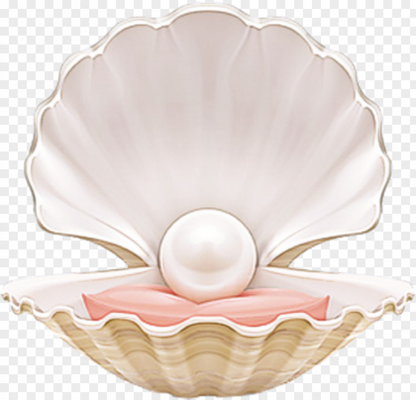 Bowl Petal Pink Pearl Tableware Bivalve Natural Material PNG