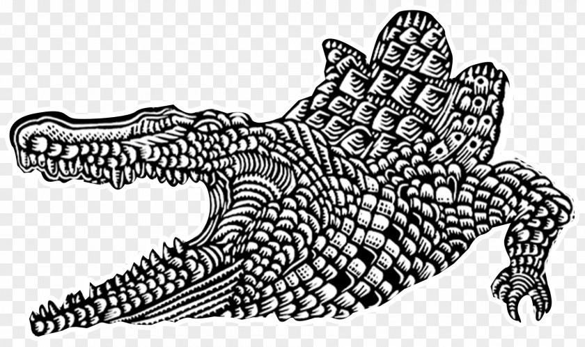Crocodile Crocodiles Alligators Animal Drawing PNG