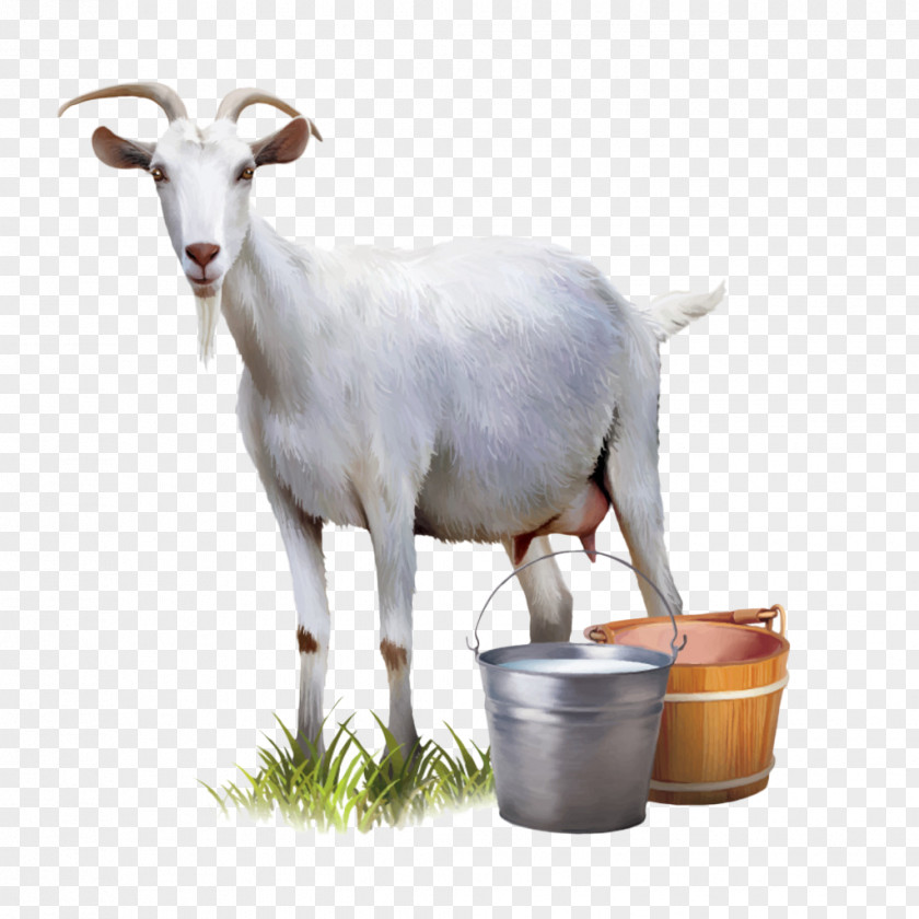 Goat Milk Cattle Sheep PNG