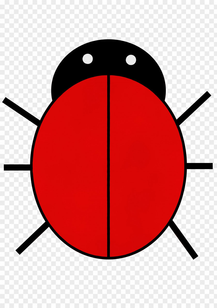 Insect Ladybird Watercolor Drawing PNG