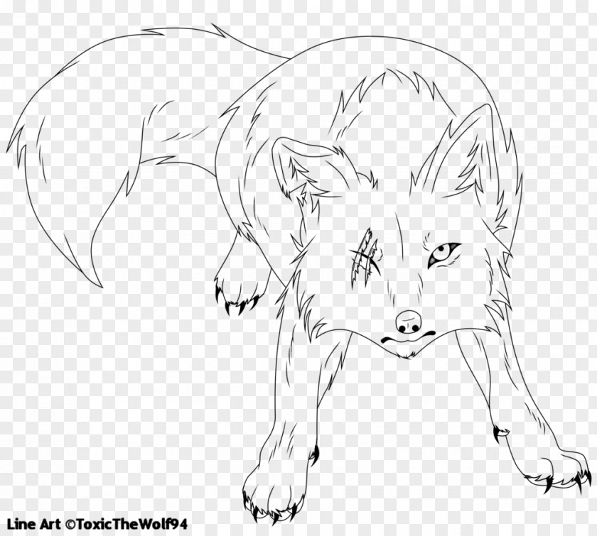 NOROZ Line Art Drawing Gray Wolf DeviantArt PNG