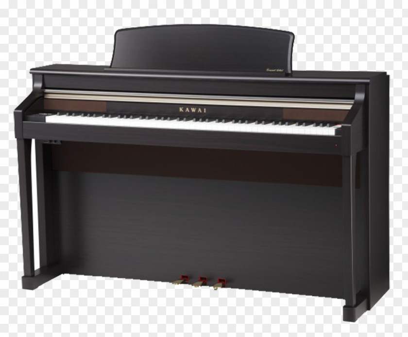 Piano Kawai Musical Instruments Digital Yamaha Corporation PNG