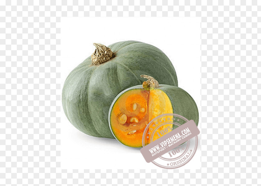 Pumpkin Calabaza Cucurbita Maxima Seed Vegetable PNG