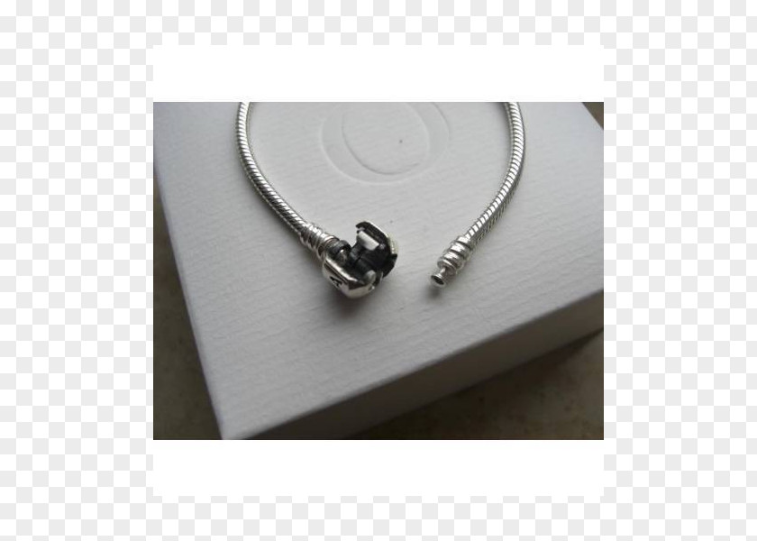 Silver Charms & Pendants Pandora Charm Bracelet PNG